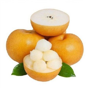 Азіатська груша Qiuyue